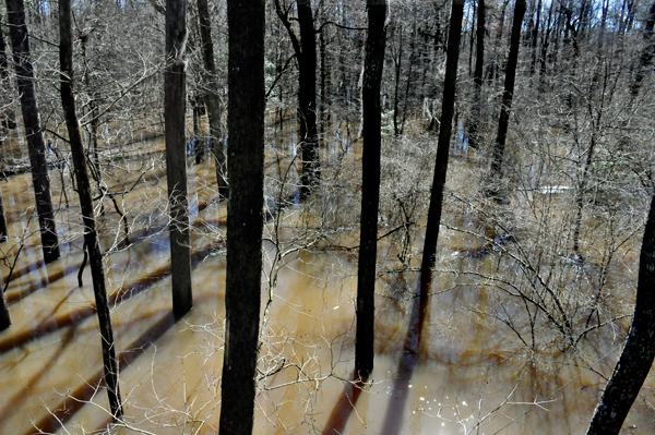 View from the suspension bridges